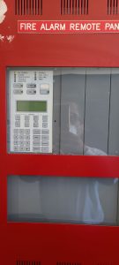 WhatsApp Image 2022-04-25 at 1.49.05 PM (1)