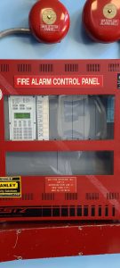 WhatsApp Image 2022-04-25 at 1.49.05 PM (3)