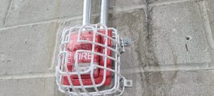 WhatsApp Image 2022-04-25 at 1.49.06 PM (1)