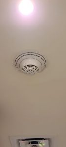 WhatsApp Image 2022-04-25 at 1.49.06 PM