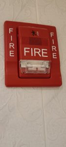 WhatsApp Image 2022-04-25 at 1.49.07 PM (1)