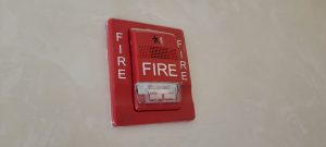 WhatsApp Image 2022-04-25 at 1.49.07 PM (2)